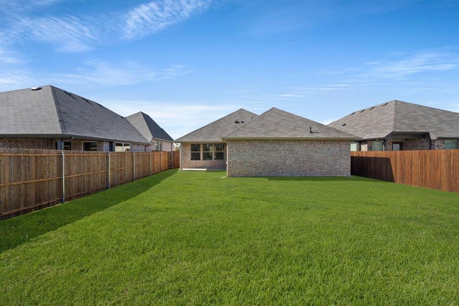 10341 Tapioca- Back-1