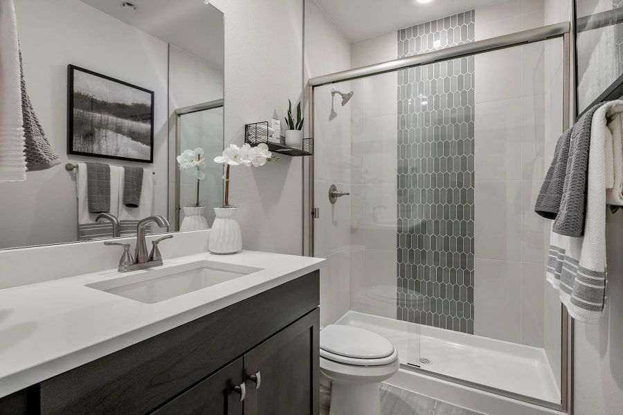 Representative furnished interior of a home built from the 4 by Tri Pointe Homes in Sugar Mill Village, Longmont (Image 8).