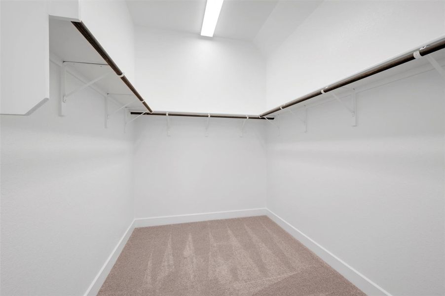 Owner's Closet