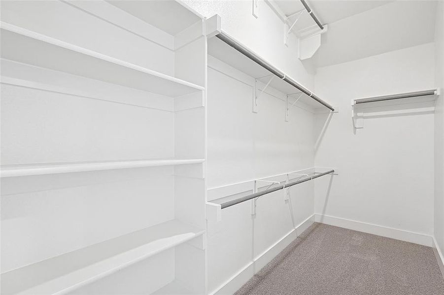 Spacious walk-in closet featuring extensive built-in shelving, hanging rods, and carpeted flooring