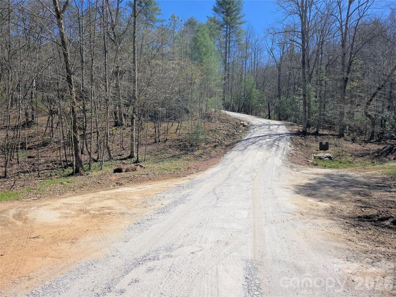 Natural landscape and outdoor views near  in Murphy (Image 37).