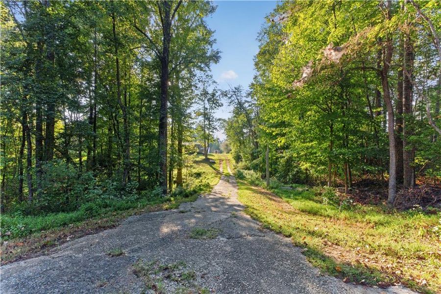 Natural landscape and outdoor views near in Dahlonega (Image 35). Natural landscape and outdoor views near in Dahlonega (Image 35).