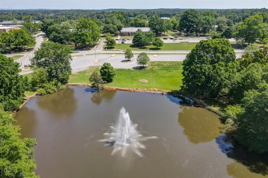 Natural landscape and outdoor views near Hemingway in Flowery Branch (Image 45).