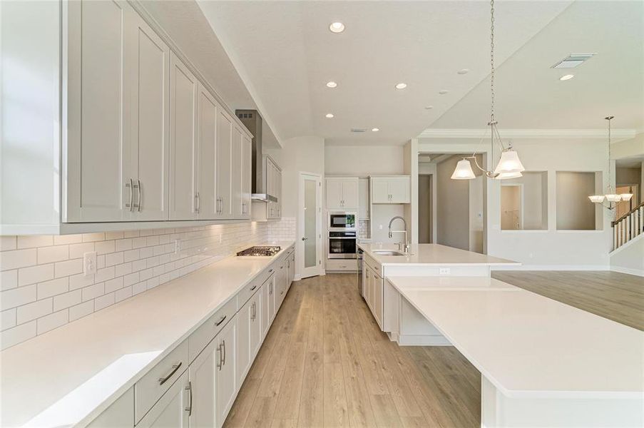 Furnished interior view inside a new home in Hawkstone, Lithia (Image 15).