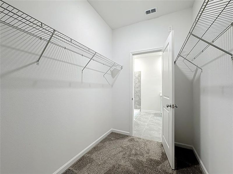 Spacious, unfurnished interior of a new home in , Kissimmee (Image 32).