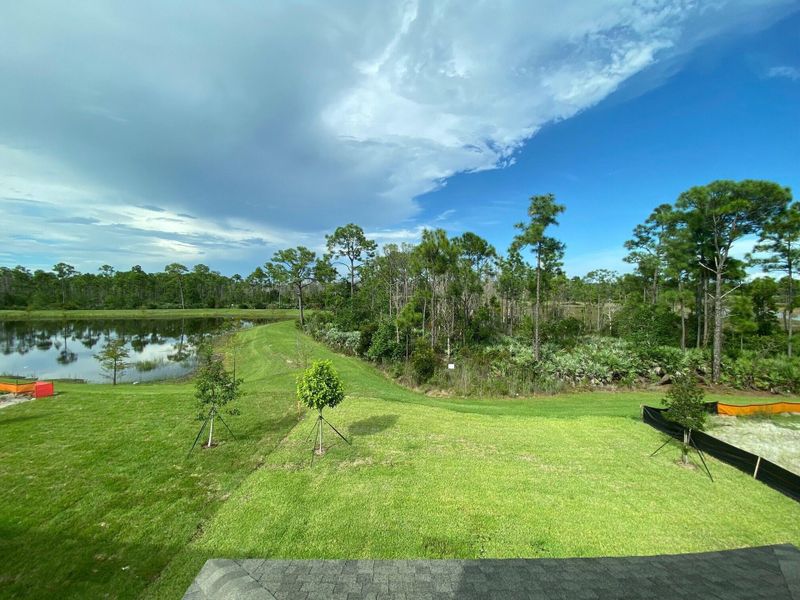 Natural landscape and outdoor views near Preserves at Park Trace in Stuart (Image 14).