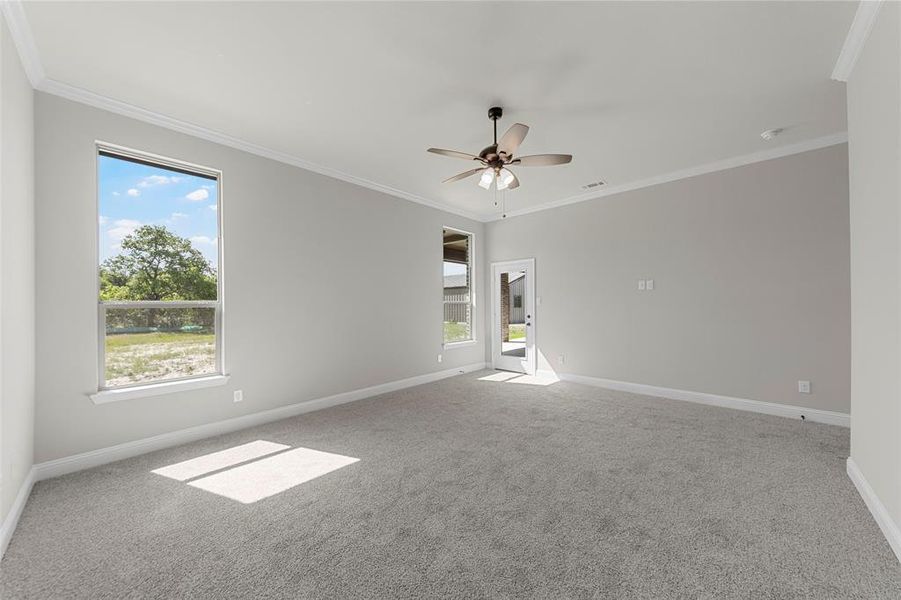 Empty room featuring crown molding, baseboards, carpet, and a ceiling fan Empty room featuring crown molding, baseboards, carpet, and a ceiling fan