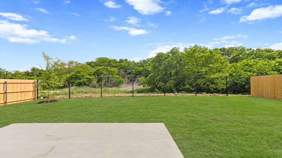 Backyard Backyard