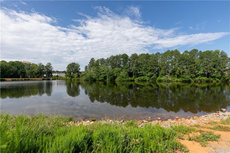 Natural landscape and outdoor views near Madison at Buice Lake in Acworth (Image 69).