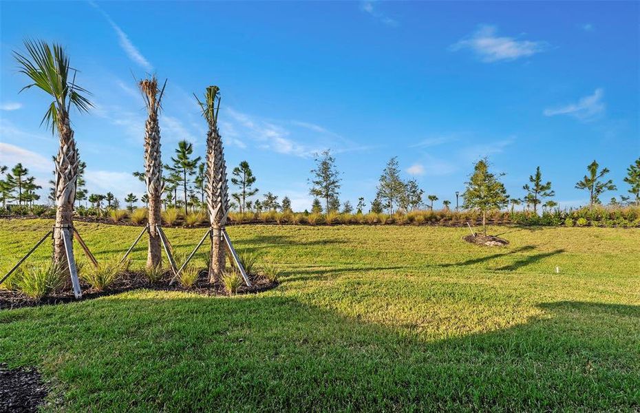 Natural landscape and outdoor views near Del Webb Catalina in Lakewood Ranch (Image 18). Natural landscape and outdoor views near Del Webb Catalina in Lakewood Ranch (Image 18).