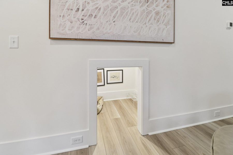 Spacious, unfurnished interior of a new home in Boykin Hills, Chapin (Image 18).