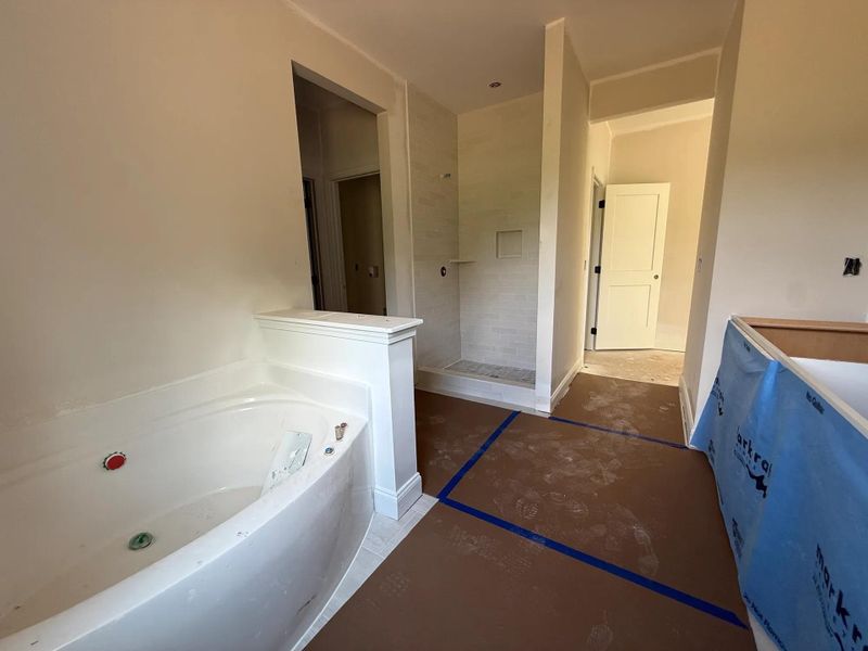 Everly D Primary bath