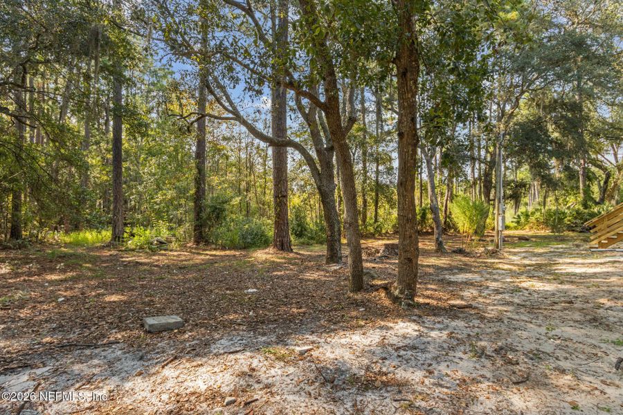Natural landscape and outdoor views near in Yulee (Image 24). Natural landscape and outdoor views near in Yulee (Image 24).