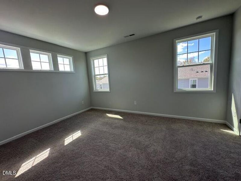 FST 636 primary FST 636 primary