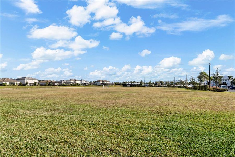 Natural landscape and outdoor views near  in Bradenton (Image 76).