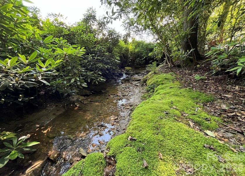 Natural landscape and outdoor views near  in Newland (Image 31).