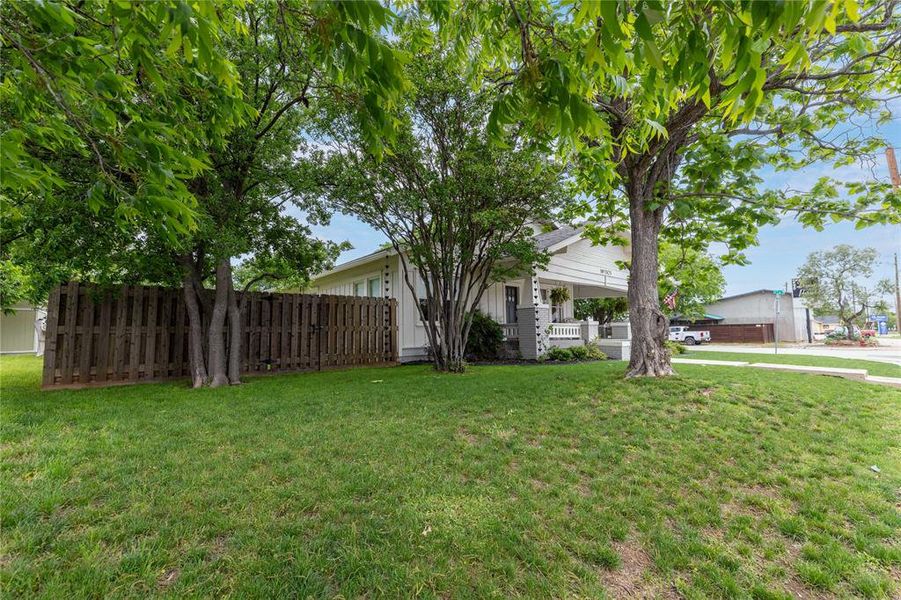 Expansive front lawn with mature shade trees and a wood fence