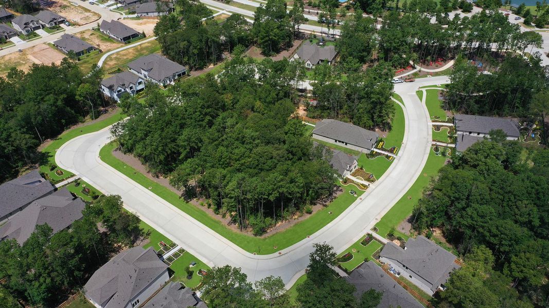 Image 16 of a home in Artavia 50'.