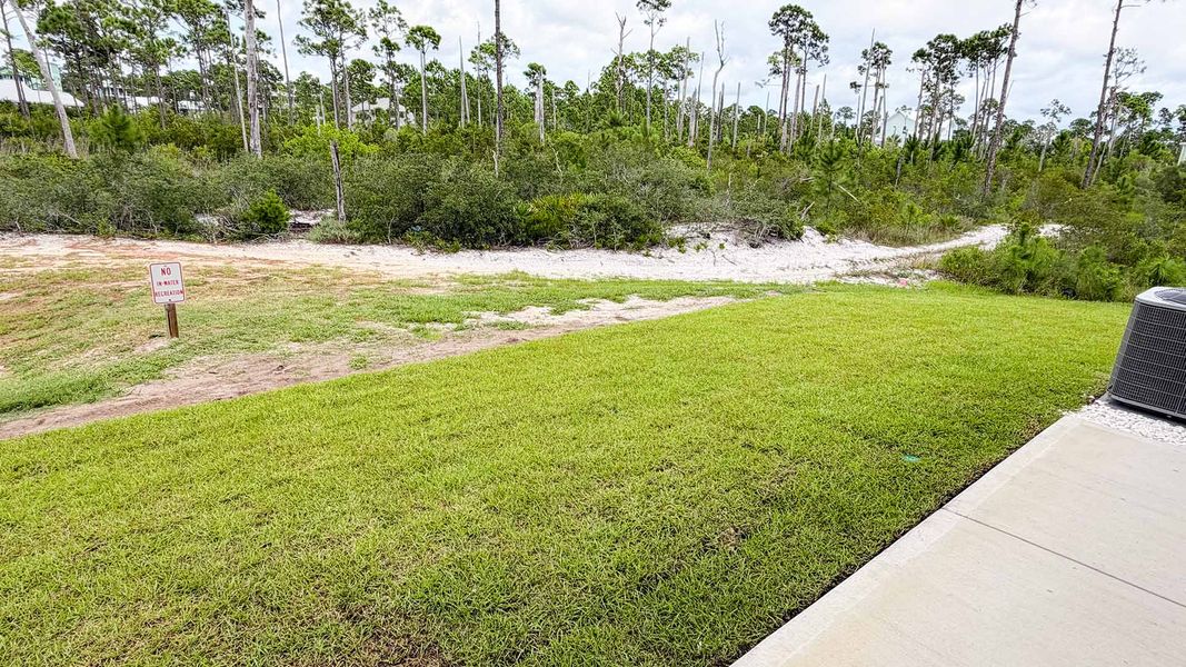Natural landscape and outdoor views near WindMark Beach in Port Saint Joe (Image 35).