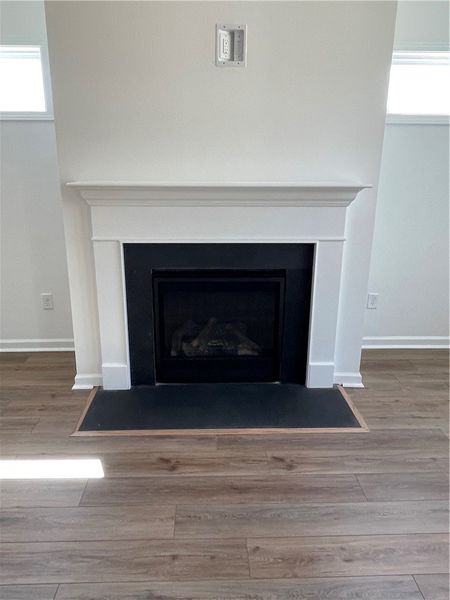 This living area features a modern fireplace, addi