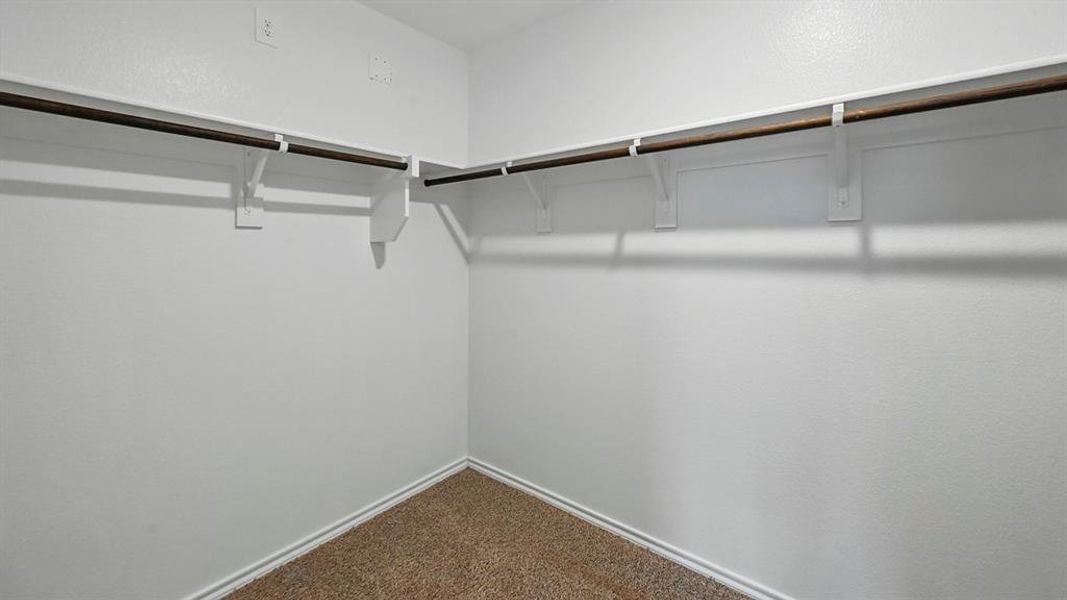 Walk-in closet featuring white walls, carpet flooring, and a corner hanging rod system