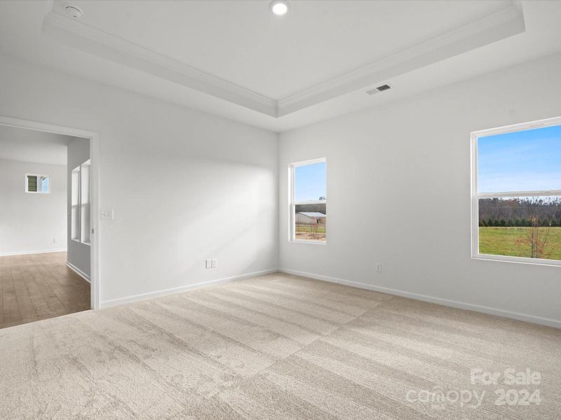 Primary bedroom with tray ceiling