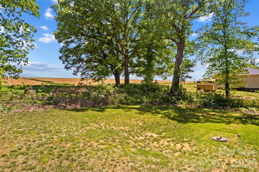 Natural landscape and outdoor views near  in Statesville (Image 31).