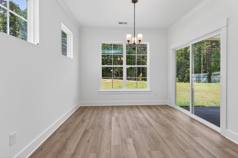Spacious, unfurnished interior of a new home in Highland Bluff, Aiken (Image 10). Spacious, unfurnished interior of a new home in Highland Bluff, Aiken (Image 10).