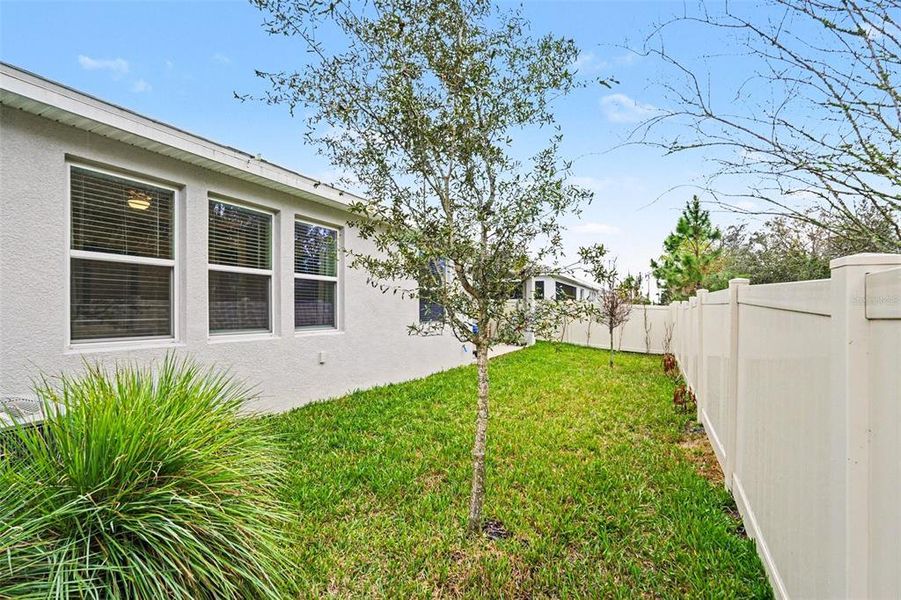 Exterior details and patio area of a home in Willow Reserve, Lutz (Image 24).