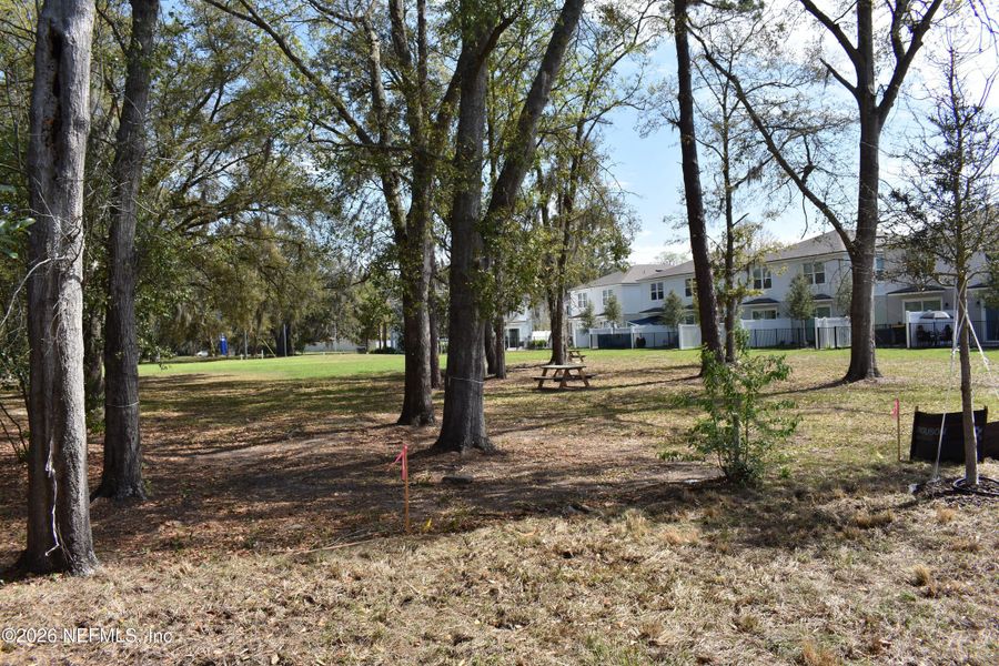 Natural landscape and outdoor views near Irongate Villas in Jacksonville (Image 34).
