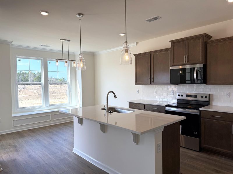 Furnished interior view inside a new home in King Farm Estates, Aynor (Image 5).