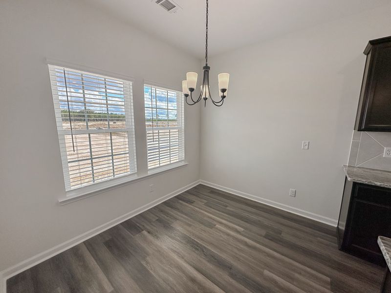 Spacious, unfurnished interior of a new home in Doctor's Creek, Ludowici (Image 14).