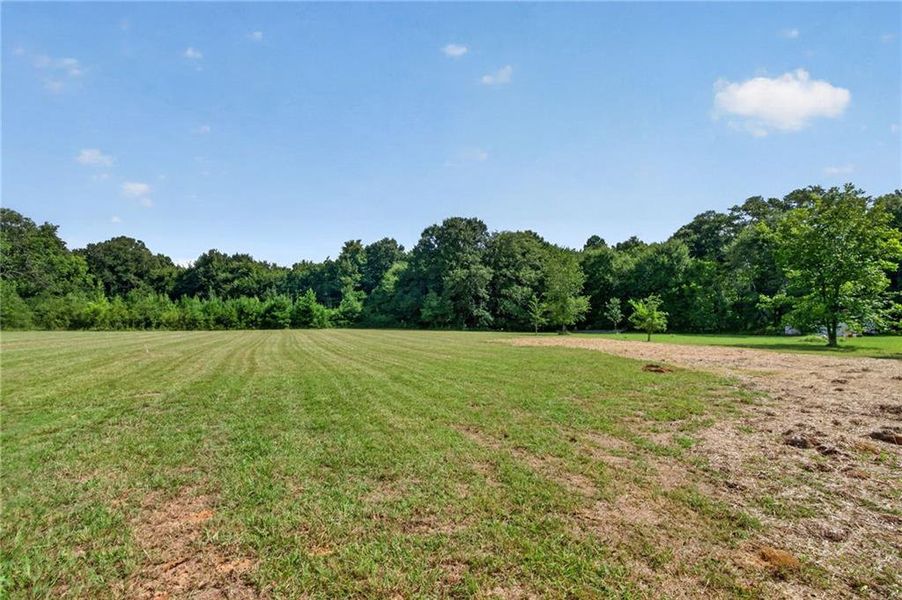 Natural landscape and outdoor views near  in Cedartown (Image 30).