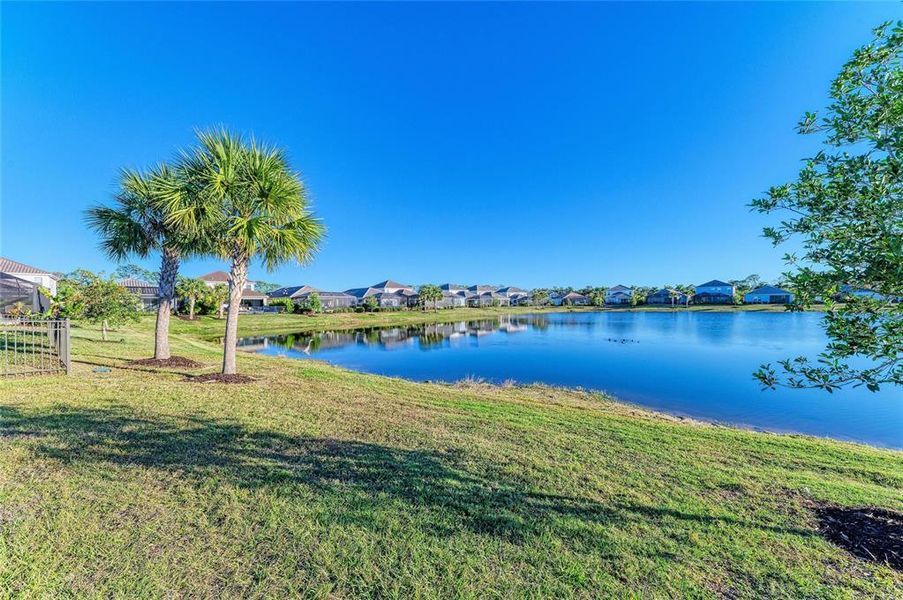 Natural landscape and outdoor views near  in Sarasota (Image 70).