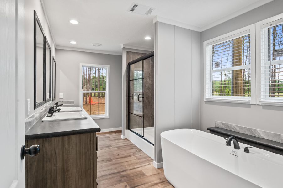 Furnished interior view inside a new home in , Eutawville (Image 14).