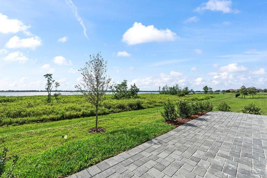 Natural landscape and outdoor views near  in Lake Alfred (Image 37).