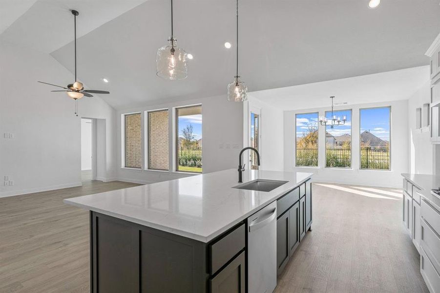 DAL_Saddle Star_Lavaca_2417 Miranda Lane (13)