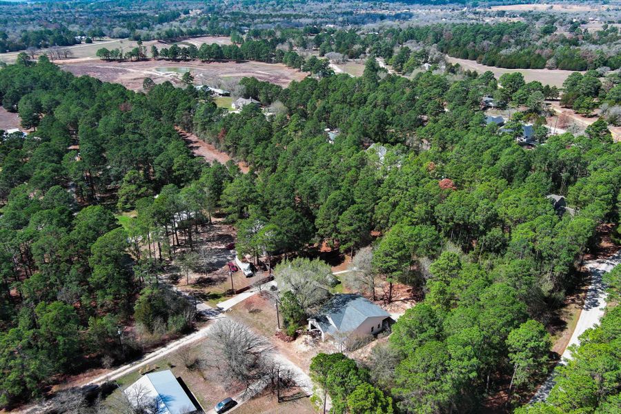 Natural landscape and outdoor views near  in Bastrop (Image 7).