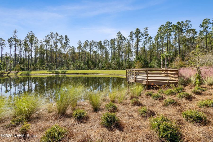 Natural landscape and outdoor views near Forest Park at Wildlight in Yulee (Image 62). Natural landscape and outdoor views near Forest Park at Wildlight in Yulee (Image 62).