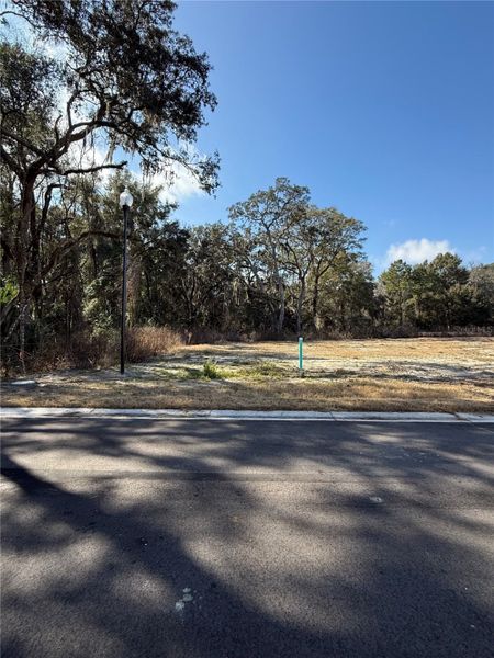 Natural landscape and outdoor views near Country Way South in Newberry (Image 21).