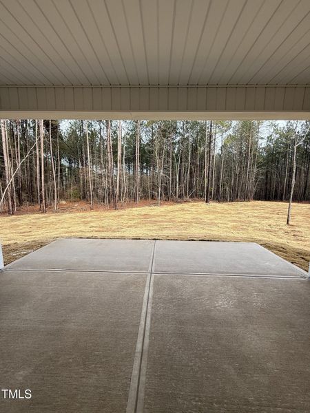 20250214023619197288000000-o 20250214023619197288000000-o