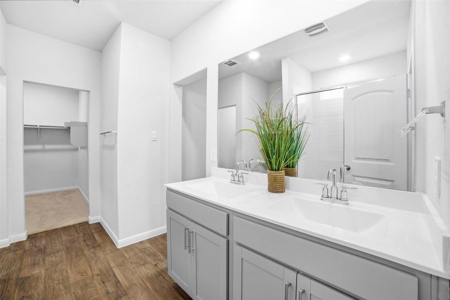Bathroom with a walk in closet, a shower stall, double vanity, and dark wood-style floors Bathroom with a walk in closet, a shower stall, double vanity, and dark wood-style floors