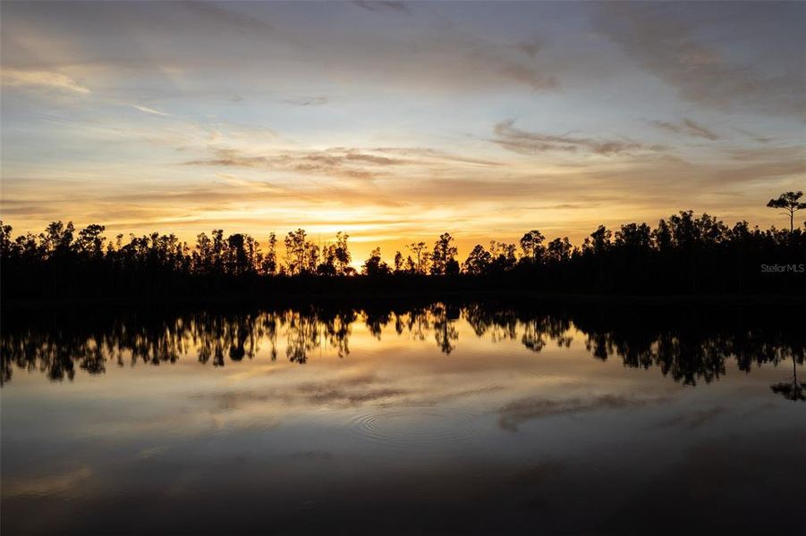 Image 51 of a home in .