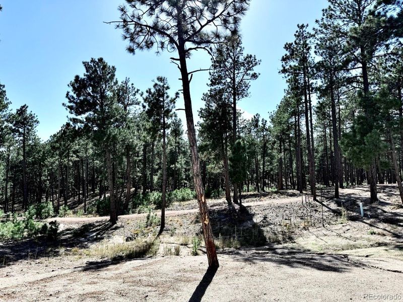 Natural landscape and outdoor views near in Colorado Springs (Image 27). Natural landscape and outdoor views near in Colorado Springs (Image 27).