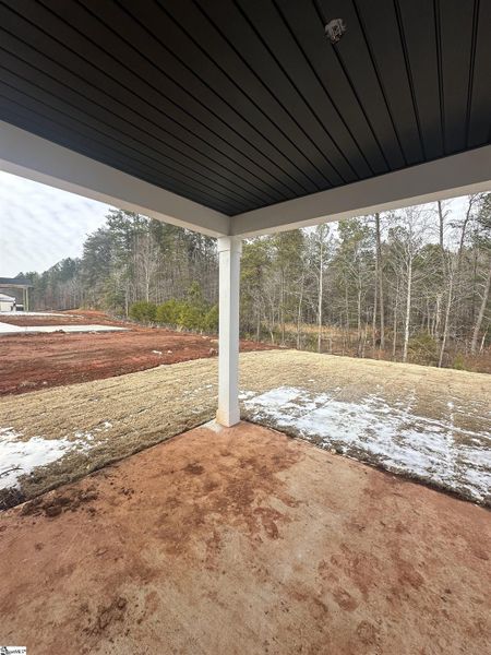 Exterior details and patio area of a home in Shiloh Trail, Wellford (Image 2).