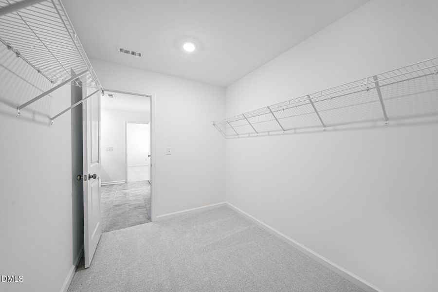 SUN_MyrtleMeadows_Pic_BrunswickIII-19