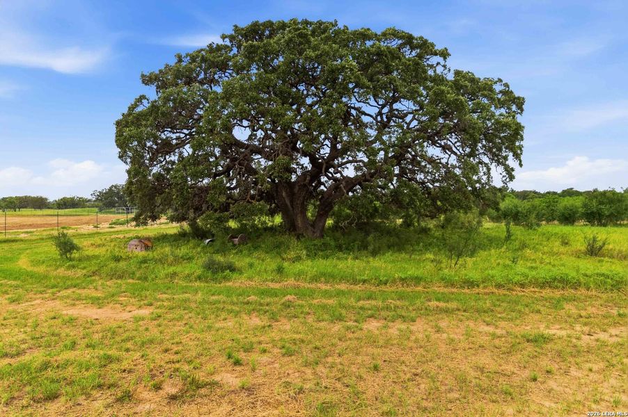 Natural landscape and outdoor views near  in Sabinal (Image 56).