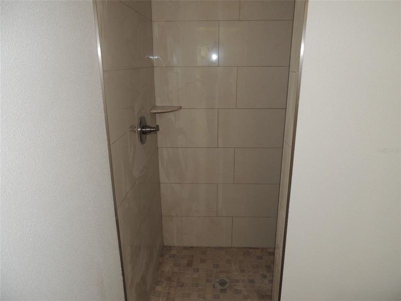 Master Bathroom walk-In Shower Stall