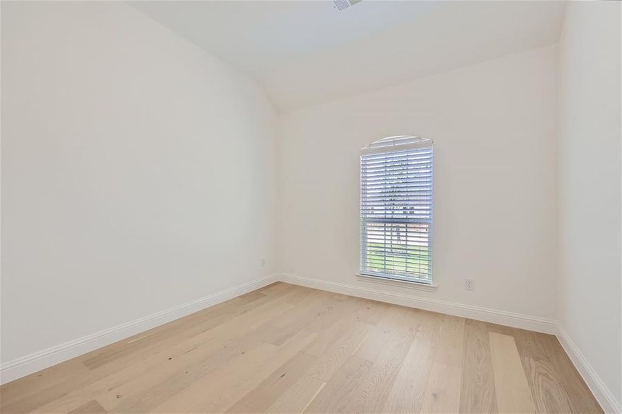 Unfurnished room with vaulted ceiling and light hardwood / wood-style flooring