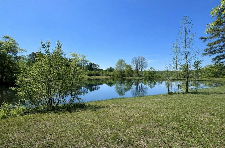 Natural landscape and outdoor views near  in Cave Spring (Image 29).